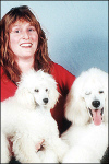 Salty Dog Salon Picture